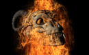 Hell Movie (without sermon)